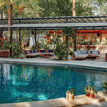 Curiol Boutique Hotel & Lounge