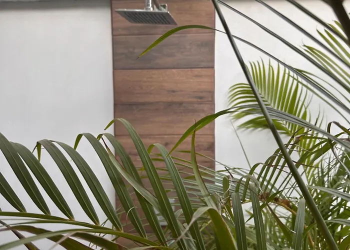 Curiol Boutique & Lounge Potrero (Guanacaste)