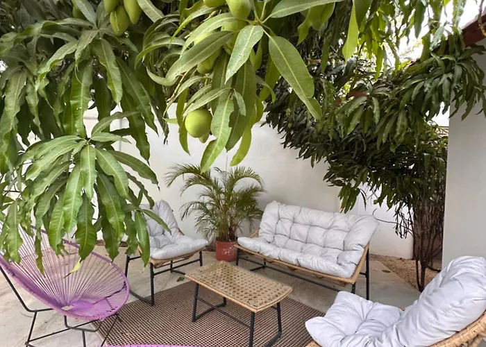 Curiol Boutique & Lounge Hotel 3*