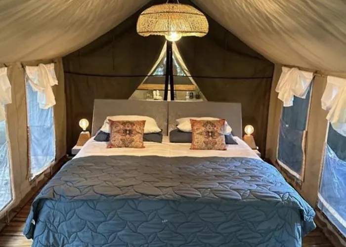 Curiol Boutique & Lounge Hotel