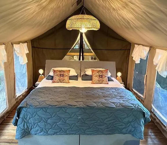 Curiol Boutique & Lounge 3* Potrero (Guanacaste)