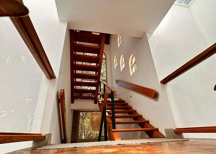 Hotel Curiol Boutique & Lounge 3*